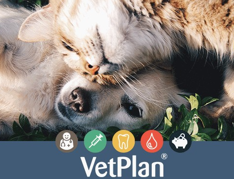 vetplan