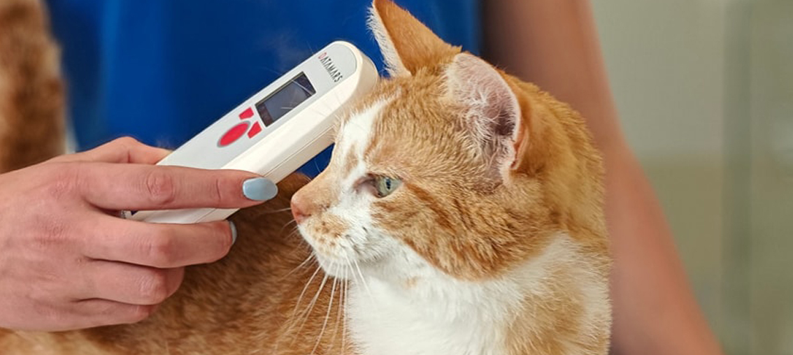 Actie van de maand (juni-juli 2025)